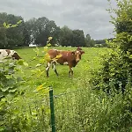 Le Du Vieux Chene Prázdninový dům Bertogne