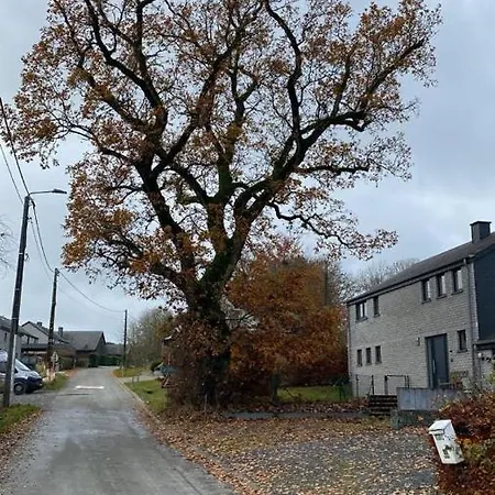 Le Du Vieux Chene 別荘 Bertogne