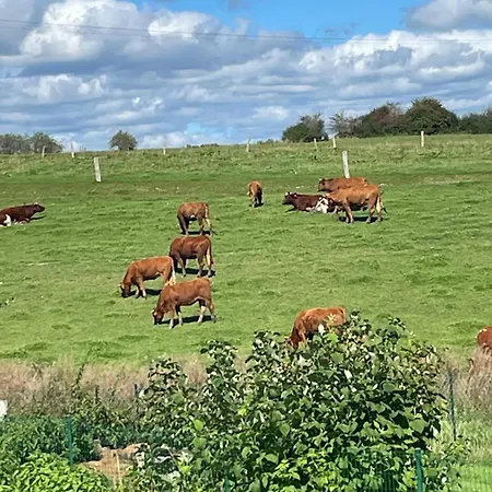 Сasa de vacaciones Le Du Vieux Chene Bertogne