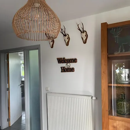 Le Du Vieux Chene * Bertogne