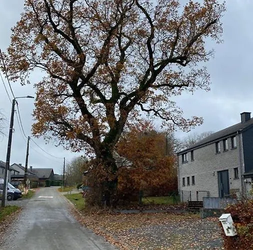 Le Du Vieux Chene Feriehus Bertogne