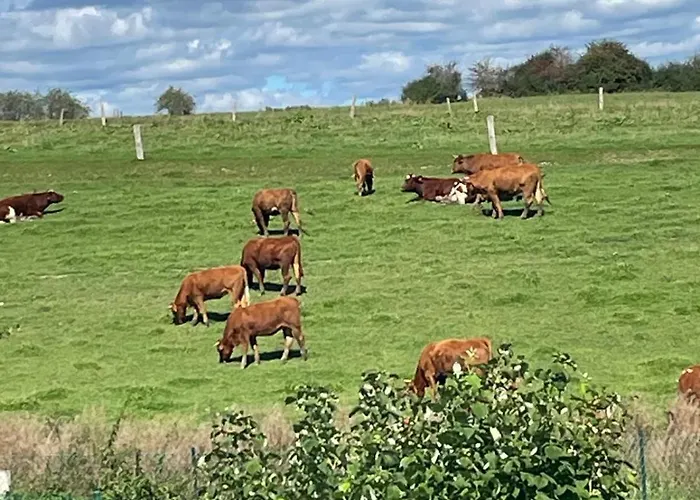 Feriehus Le Du Vieux Chene Bertogne