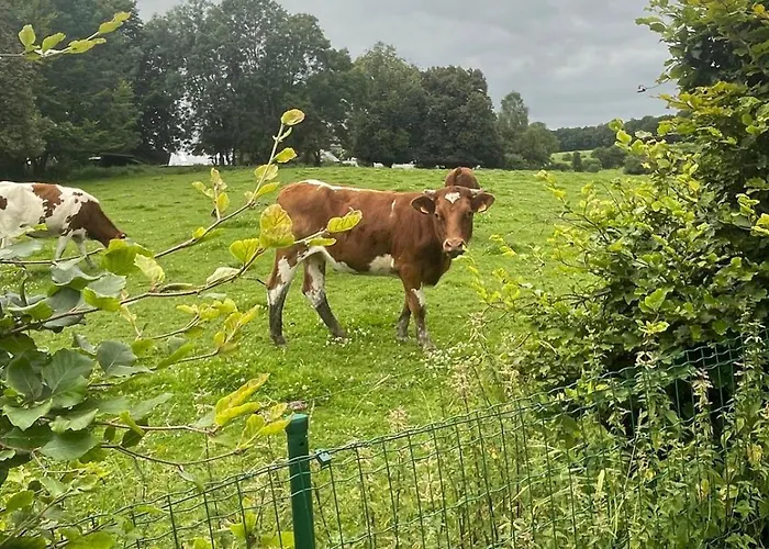 Le Du Vieux Chene Feriehus Bertogne